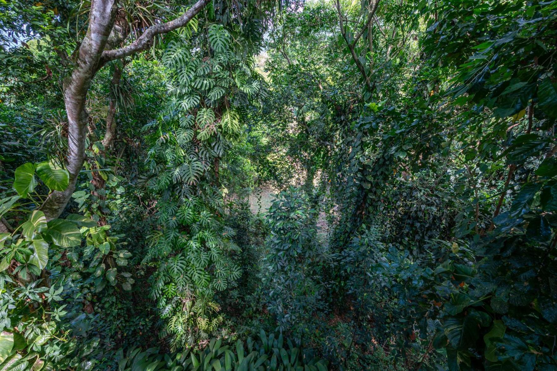 Refugio Real Rio de Janeiro