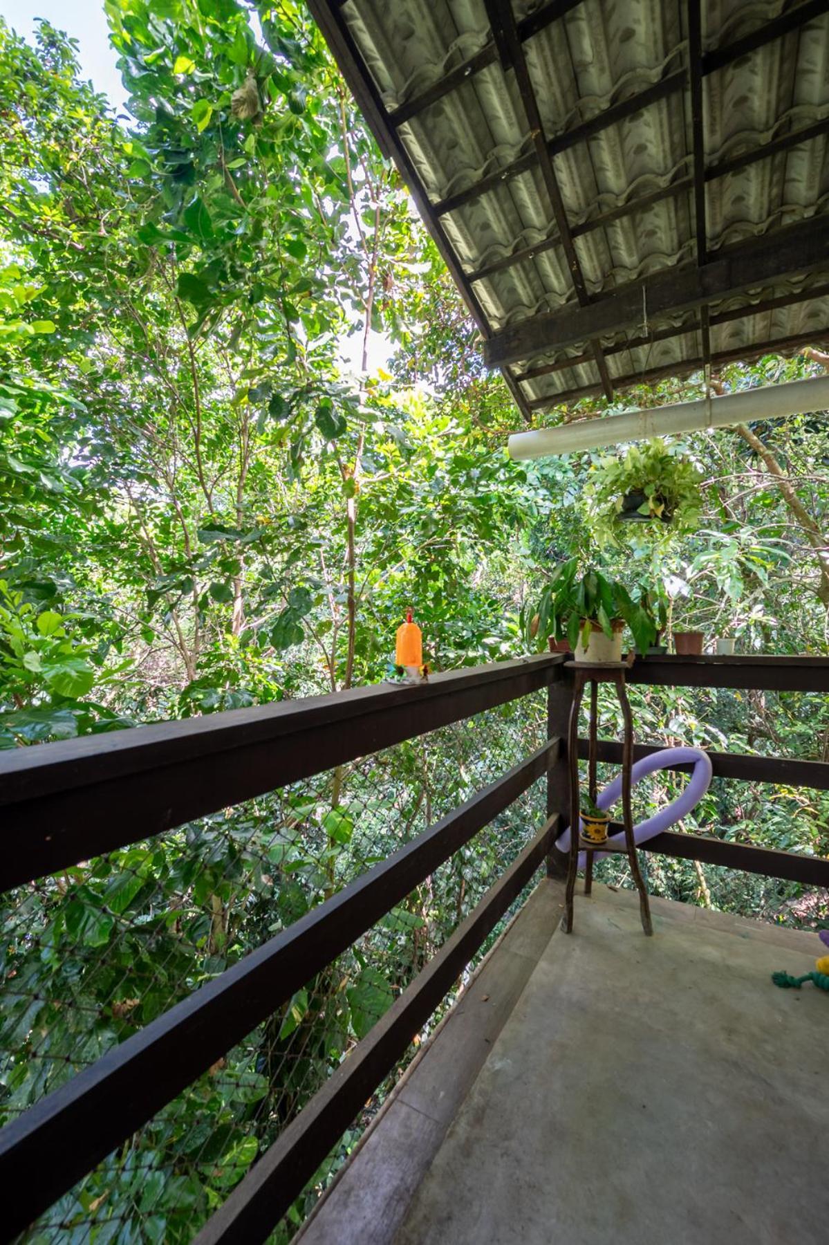Refugio Real * Rio de Janeiro